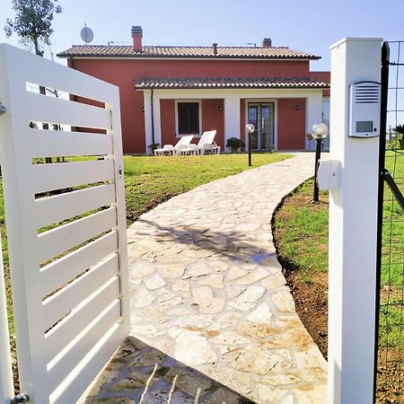 Villetta Fedora Immersa Nel Verde Cecina  Exterior foto