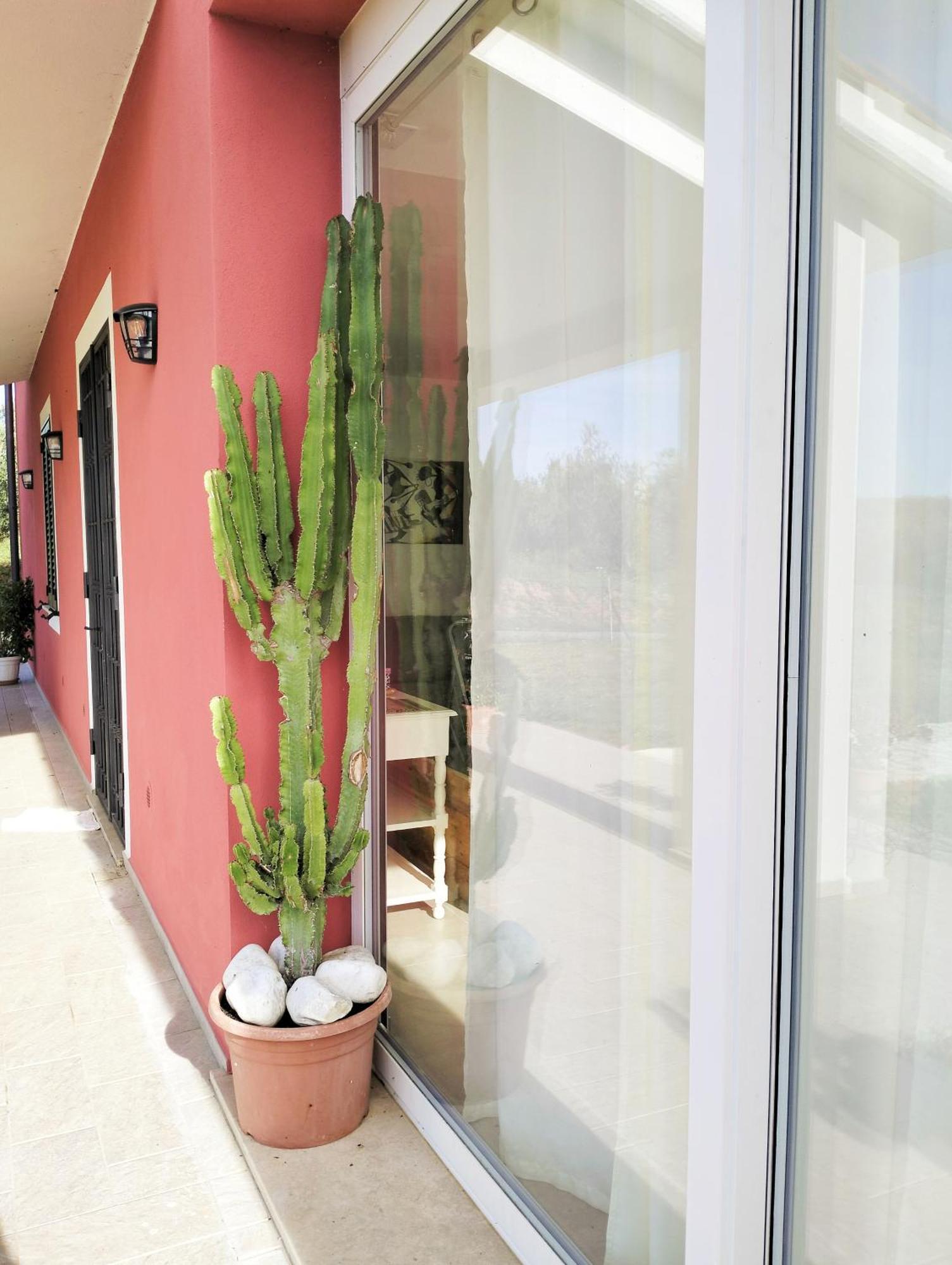 Villetta Fedora Immersa Nel Verde Cecina  Exterior foto